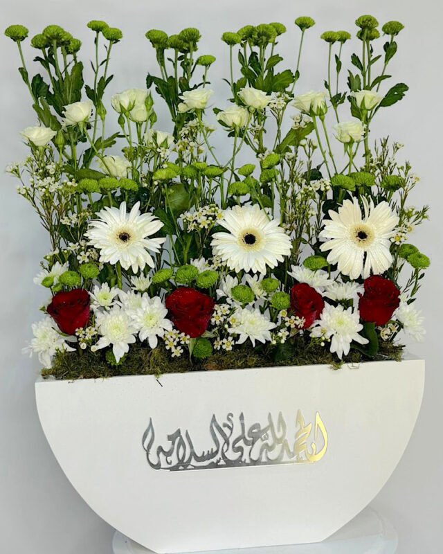 Healing Box